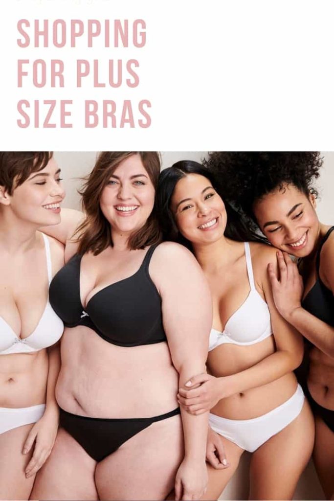Lane Bryant Cacique Bras - The Perfect Foundation - Ready To Stare